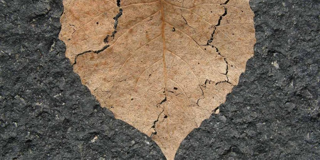 relatos-de-amor-desesperado-aguirrecomunica